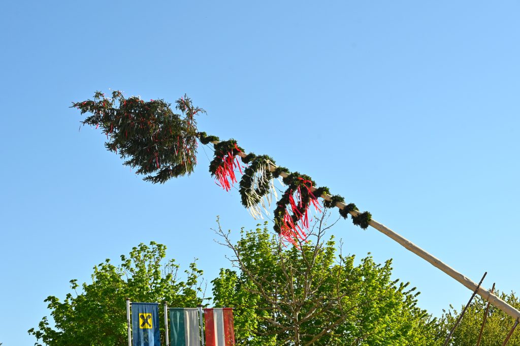 Maibaum