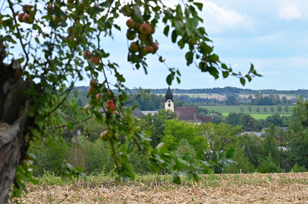 Herbst